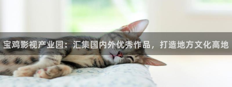 酷客影院善良的嫂子